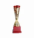 1.1 Trophy.webp