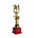 4.2 Trophy.webp