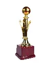 9.2 Trophy.webp