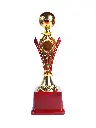 9.1 Trophy.webp