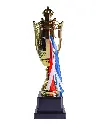 10.1 Trophy.webp