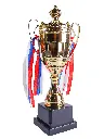 10.2 Trophy.webp