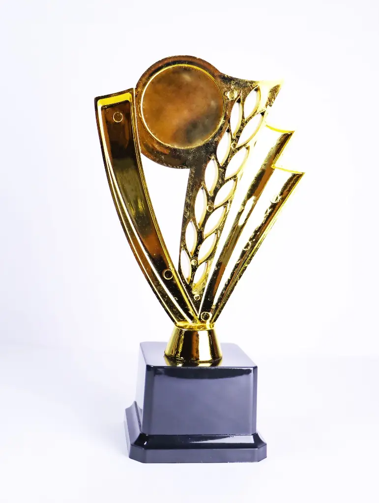 13.1 Trophy.webp