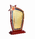 Star Token of Love 001
