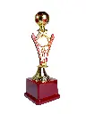 Football Trophy 009