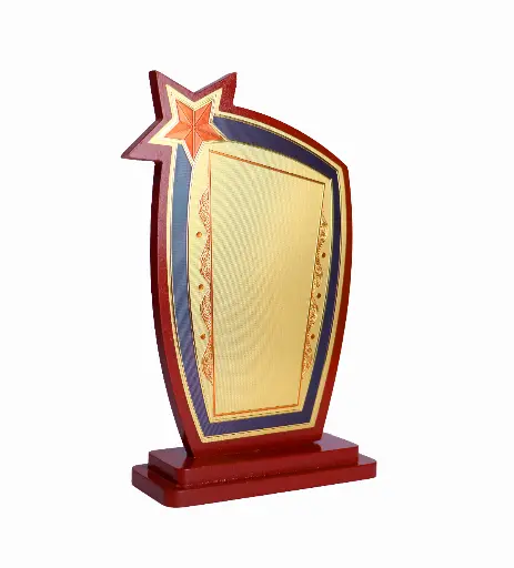 Star Token of Love 001