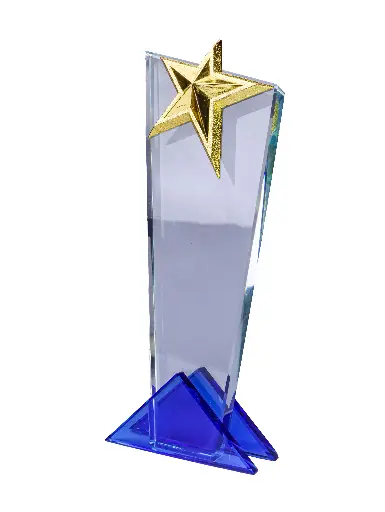 Star Crystal Token of Love 020
